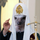 Степа Кейс