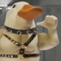 Goose