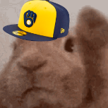 HOODSTAR