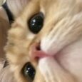 yuuji