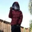 yungmoney