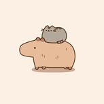 CapyBorry