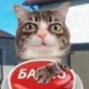 bablo