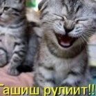 немец