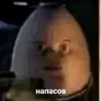 cvmpello
