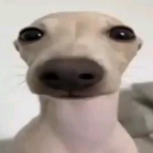 kanadely