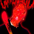оуджи дуд