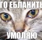 Dmitryk