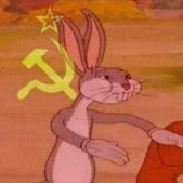 donbas dreamin.