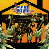 dimanrasta