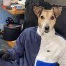 Не Суждено Рпхать