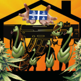 dimanrasta