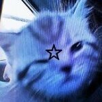 Kokochan