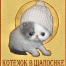 KOTENOK B ШАПОCHКЕ
