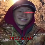Гавчик
