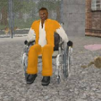 ГРАЖДАНИN SW