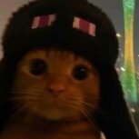 KattySnezh
