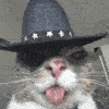balboa cowboy