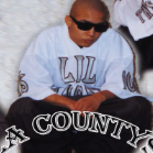 onlycoast